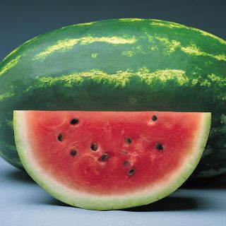 Sunsugar Watermelon Thumbnail